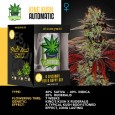 IGROWCAN - King Kush Auto